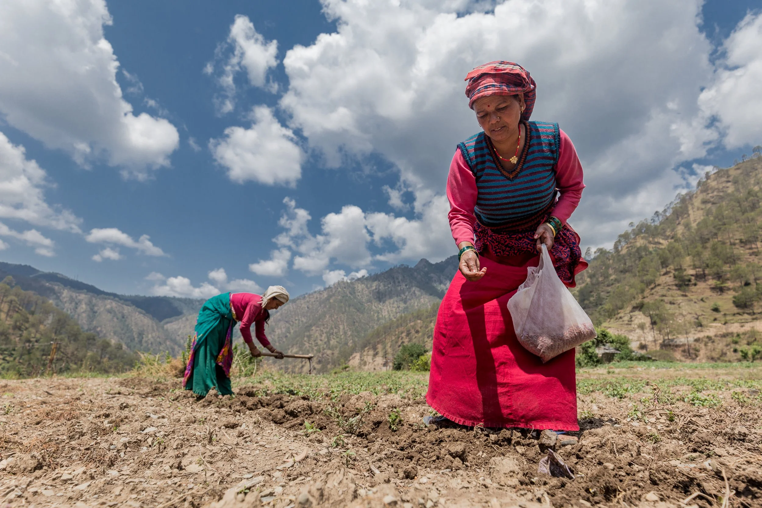 A woman working in a hillside field