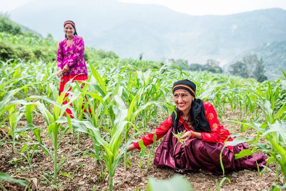 Photograph from Integrated Livelihood Support Project (ILSP)